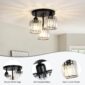Crystal Ceiling Light Sophisticated Hallway Fixture 2