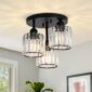Crystal Ceiling Light Sophisticated Hallway Fixture