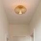Flush Mount Light Modern Gold Fixture 1