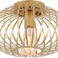 Flush Mount Light Modern Gold Fixture