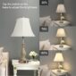 Functional Bedside Desk Lamp for Nightstands and Desks function