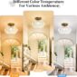 Hallway Light Fixture Gold Globe Design 3