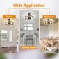 Semi Flush Mount Stylish Ceiling Fixture 3