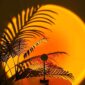 Sunset Projection Lamp Perfect for Modern Spaces what it looks